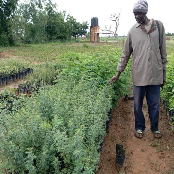 Agro-écologie